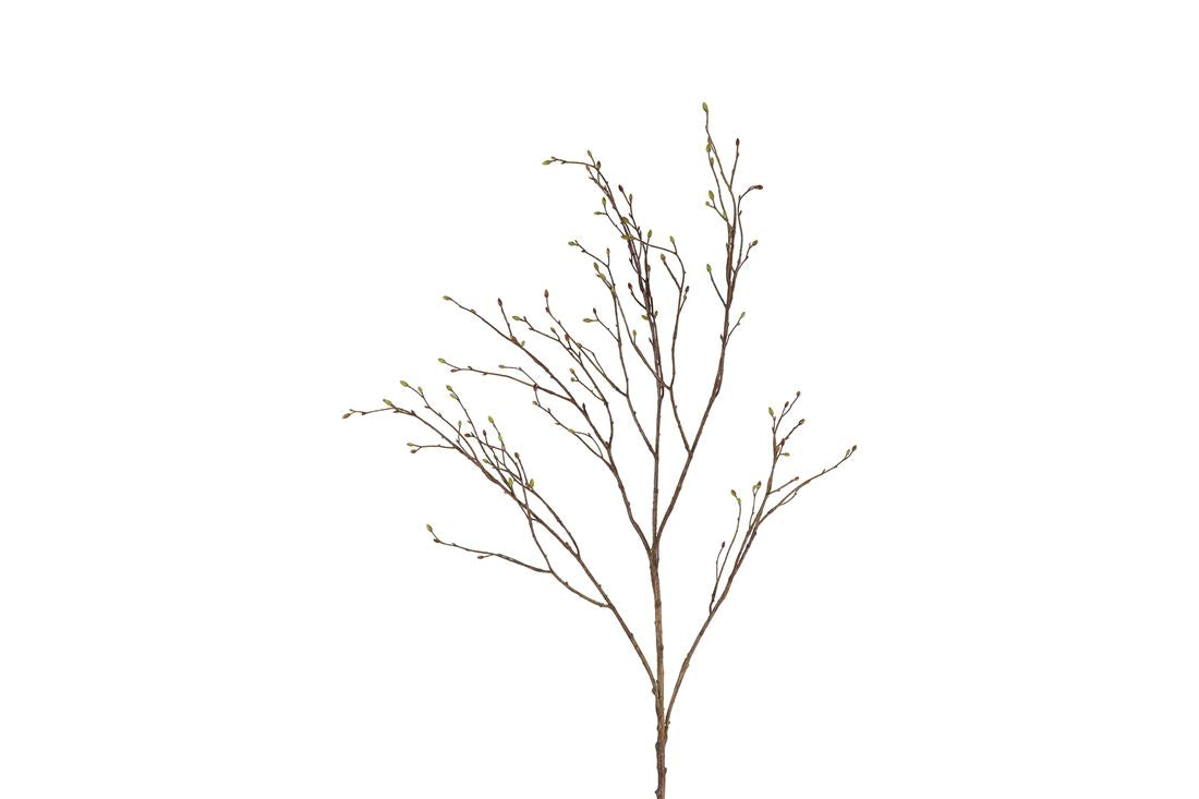 23247330209.jpg