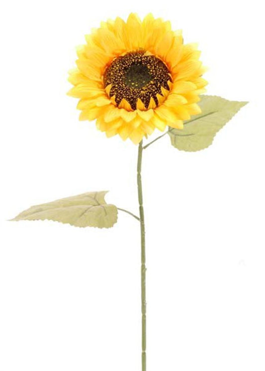 23255501236.jpg