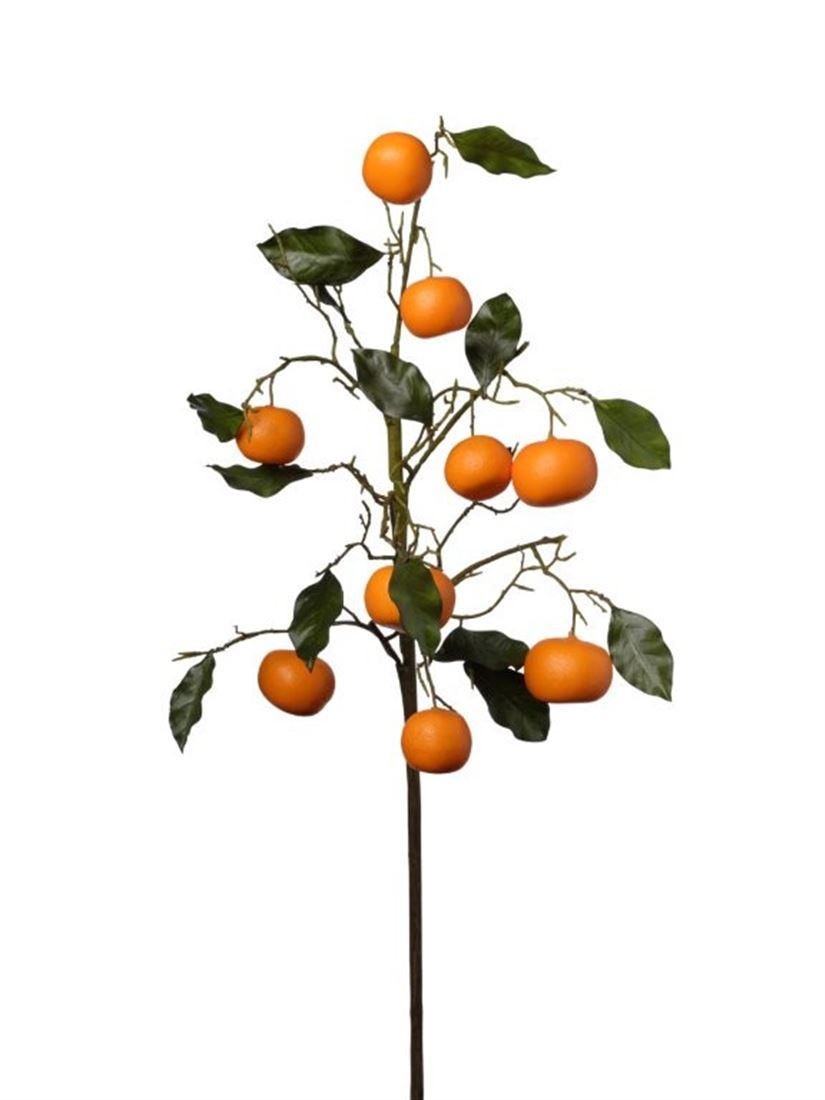 23255512881.jpg