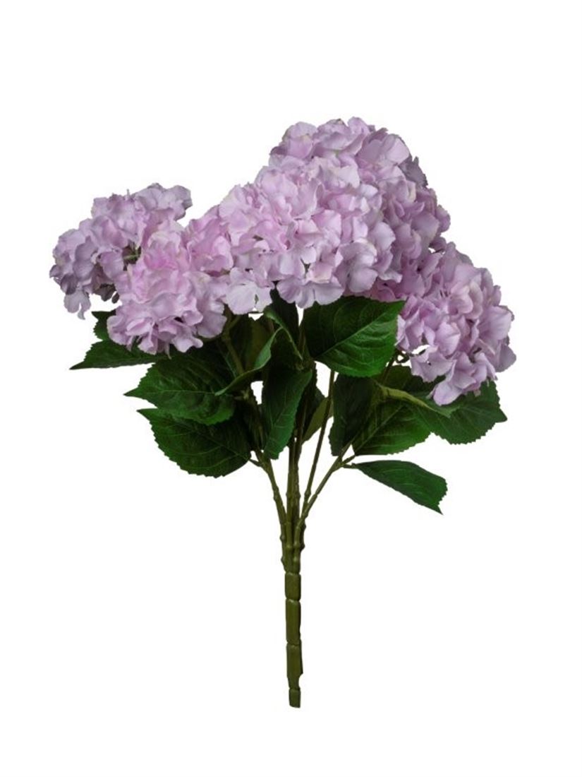 23255562151.jpg
