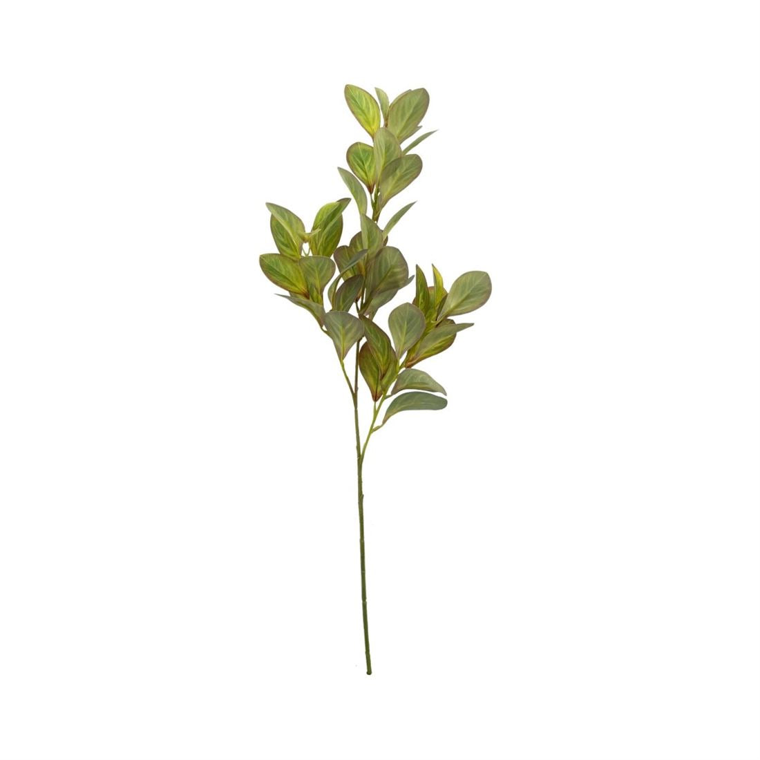 23502302009.jpg