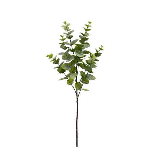 23502312024.jpg