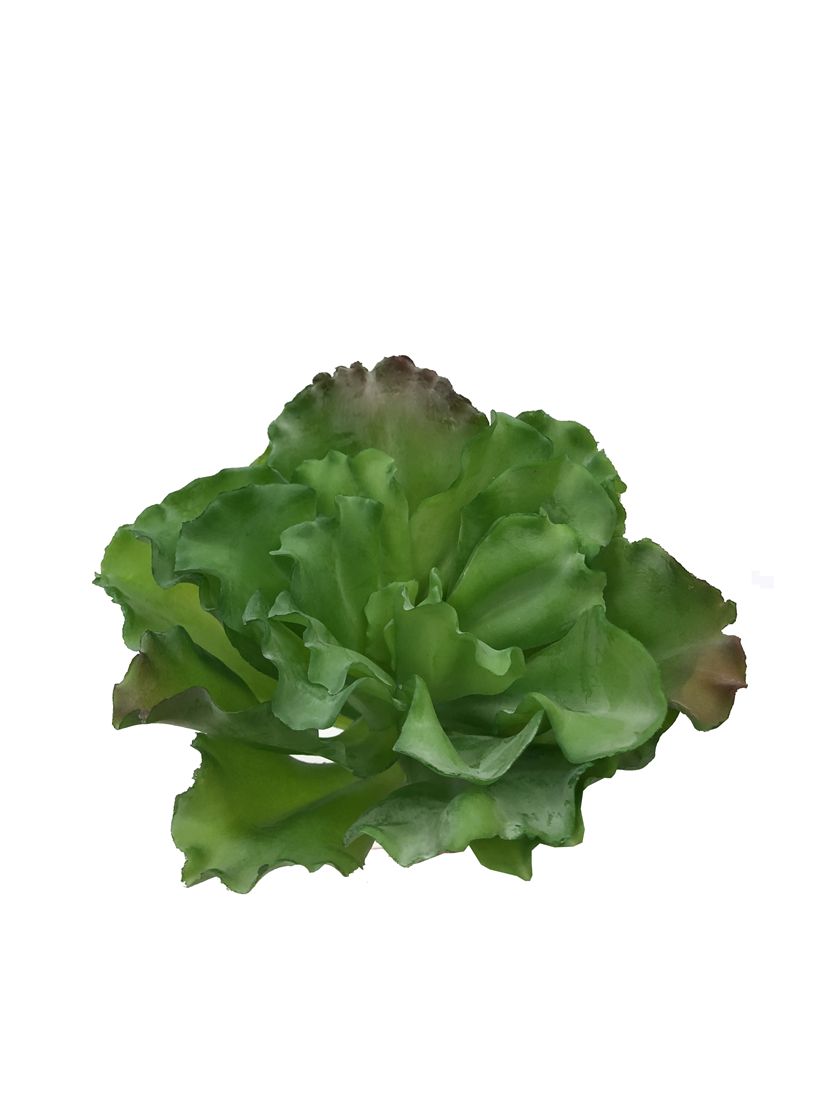 23502343518.jpg