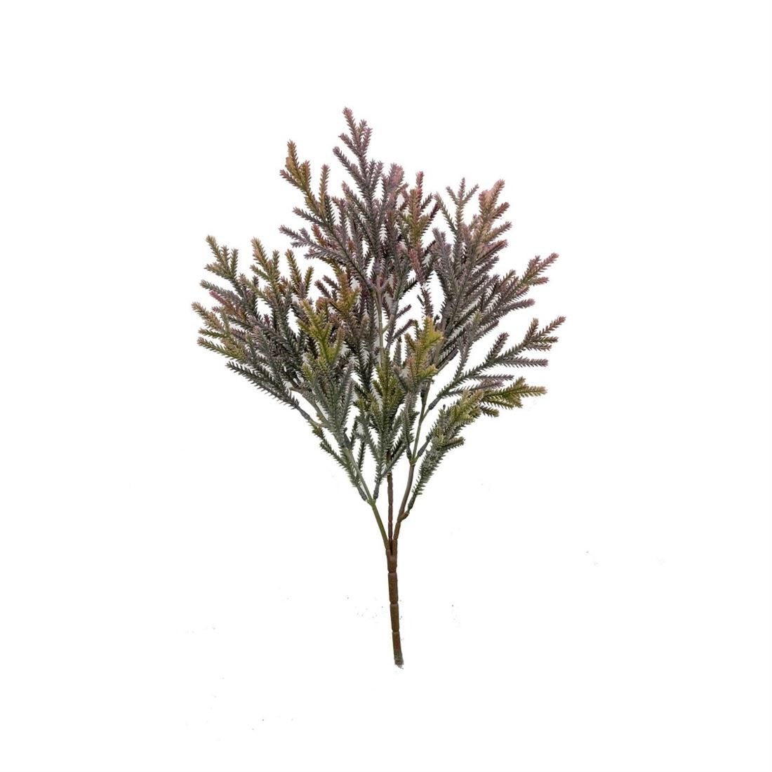 23502356702.jpg