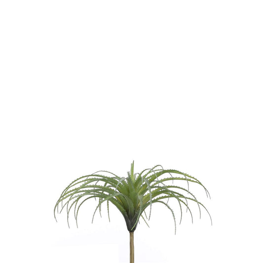 23507258934.JPG
