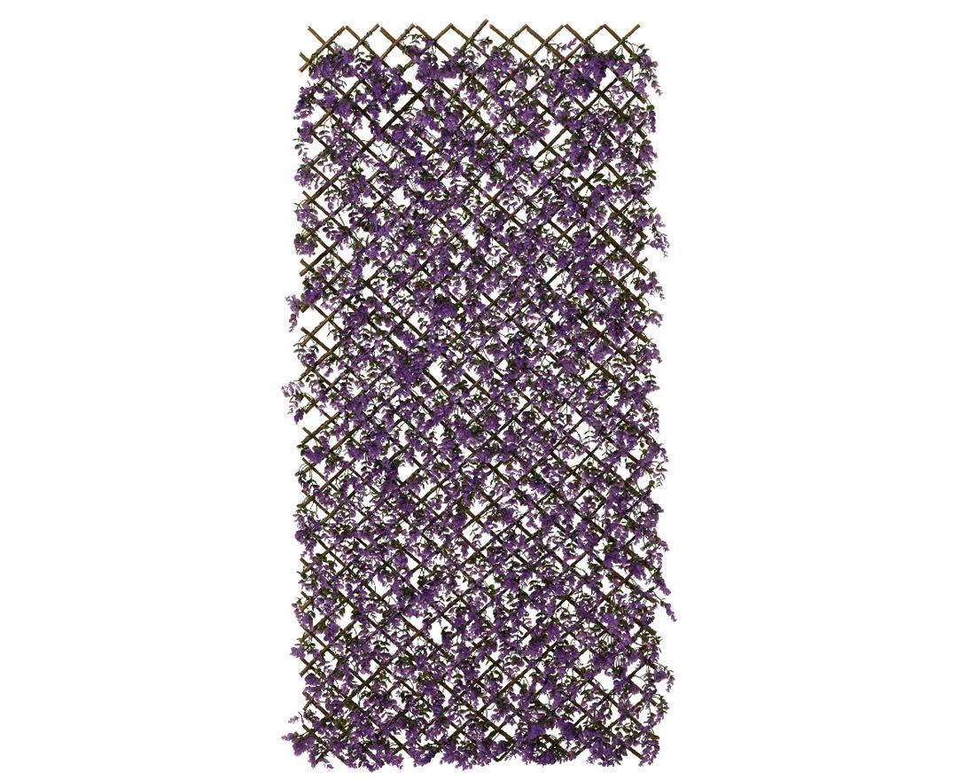 23507309237.jpg