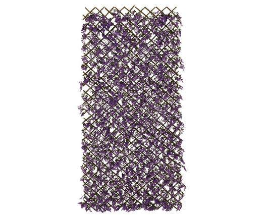 23507309237.jpg