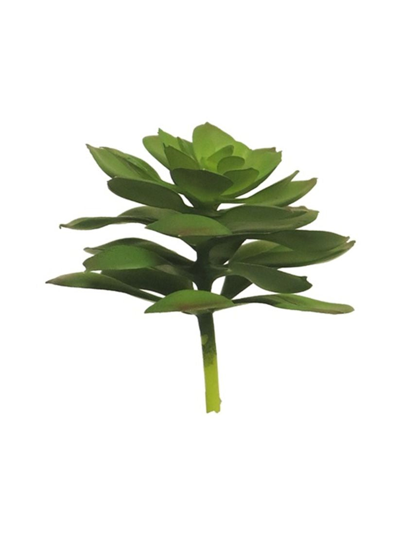 23514203073.jpg