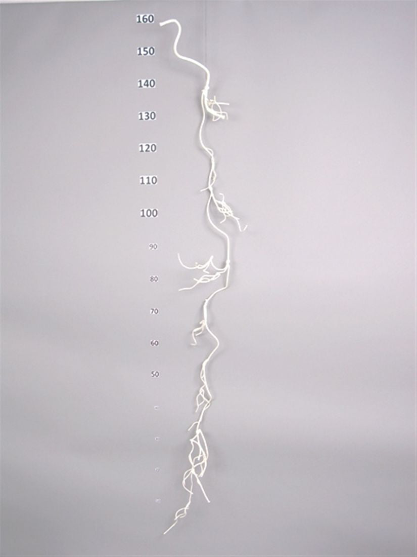 23514207250.JPG
