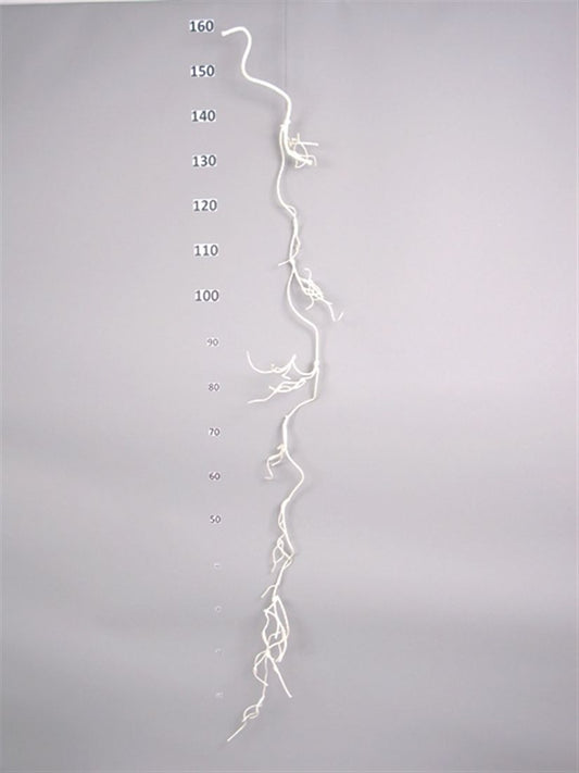 23514207250.JPG