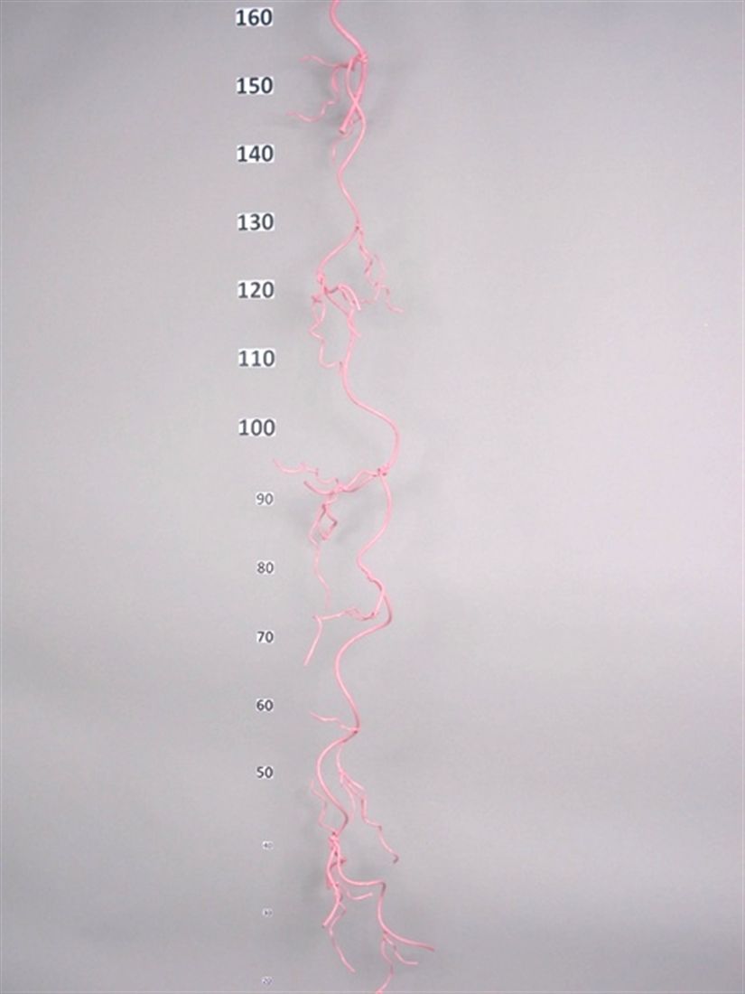 23514207257.JPG