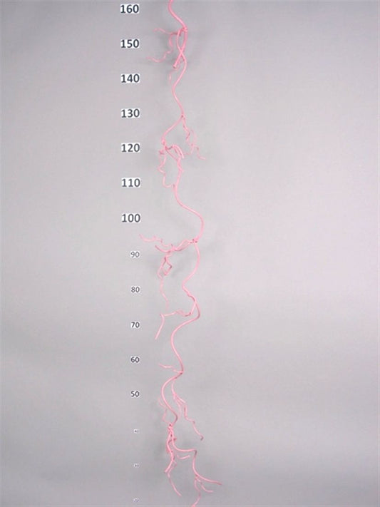 23514207257.JPG