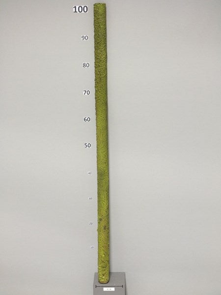 23514209211.JPG