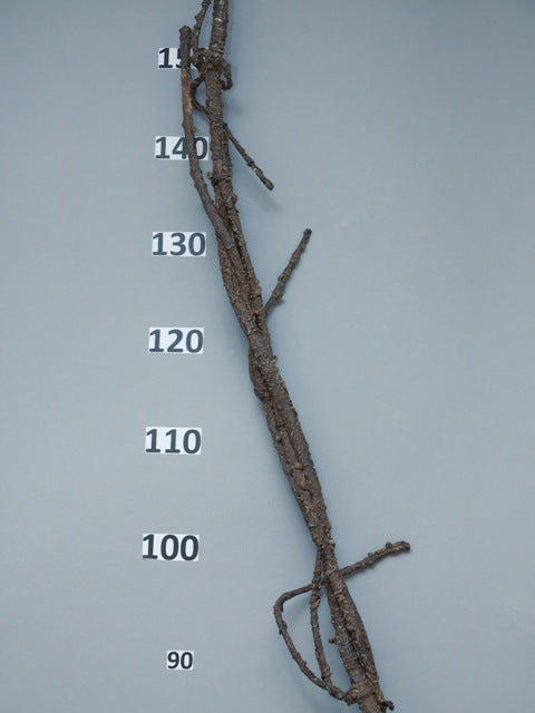 23514210118.JPG
