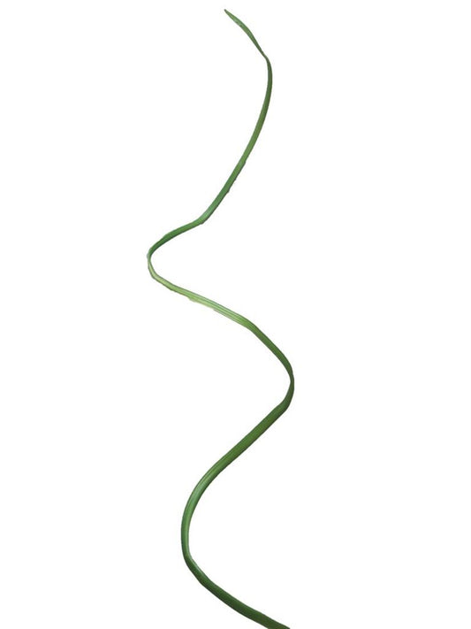 23514213751.JPG