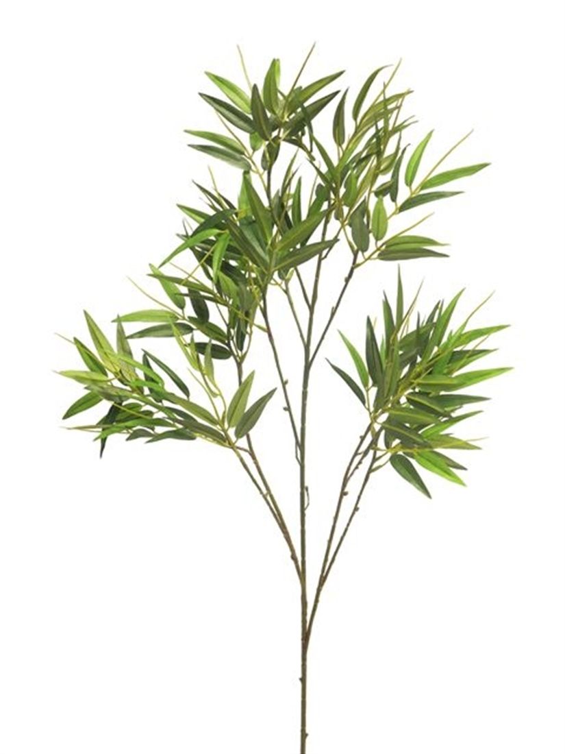 23514218991.jpg