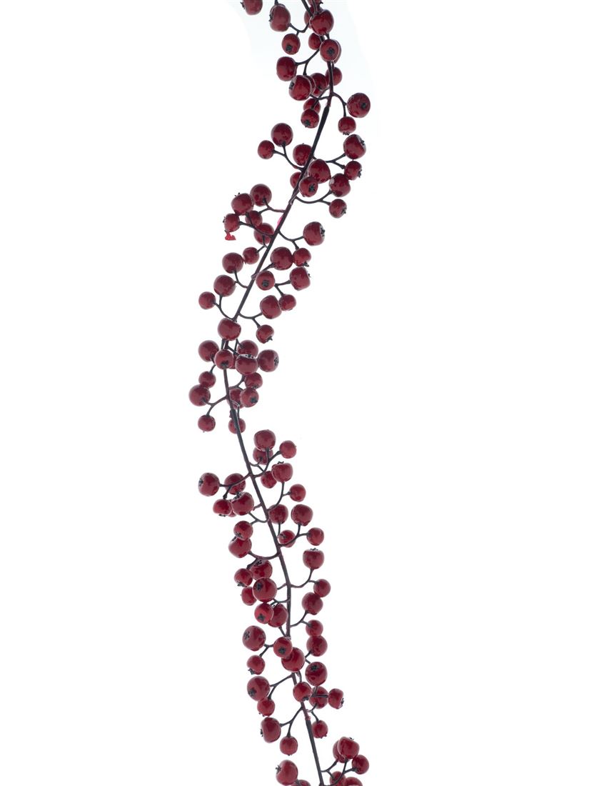23514234083.jpg