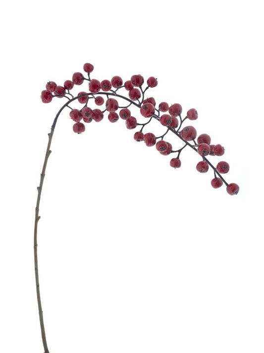 23514234123.jpg