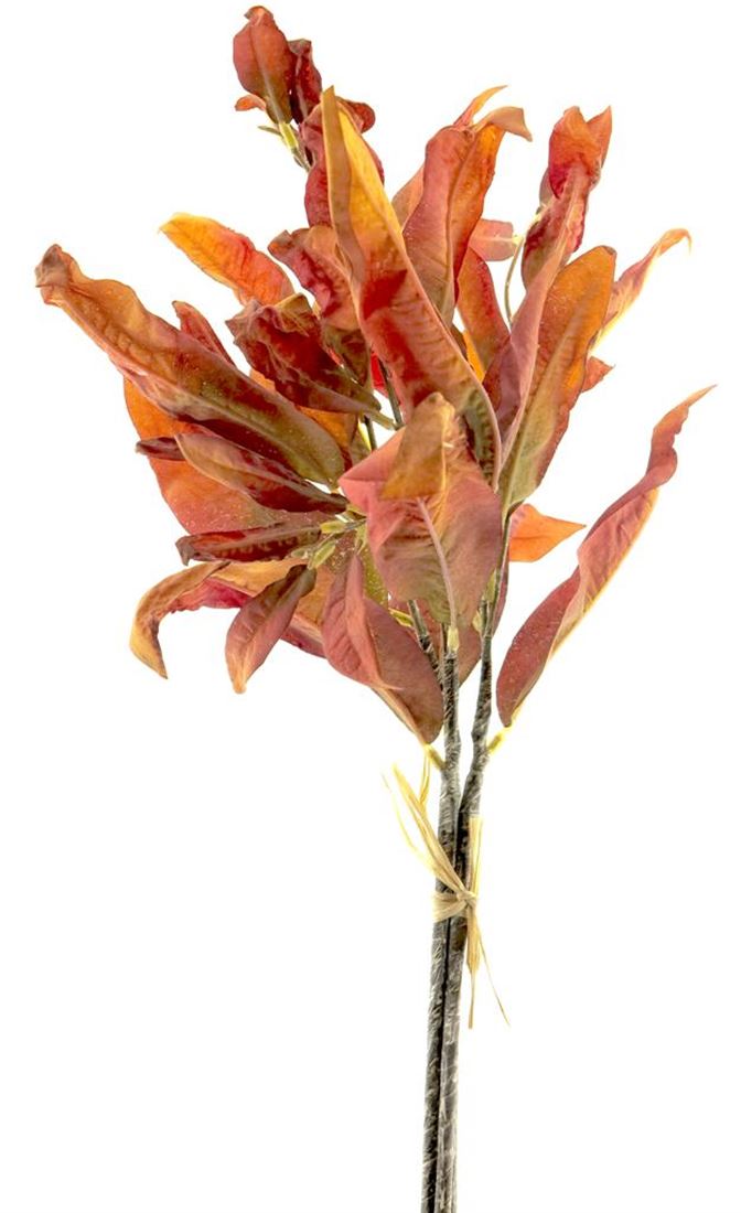 23514253485.jpg