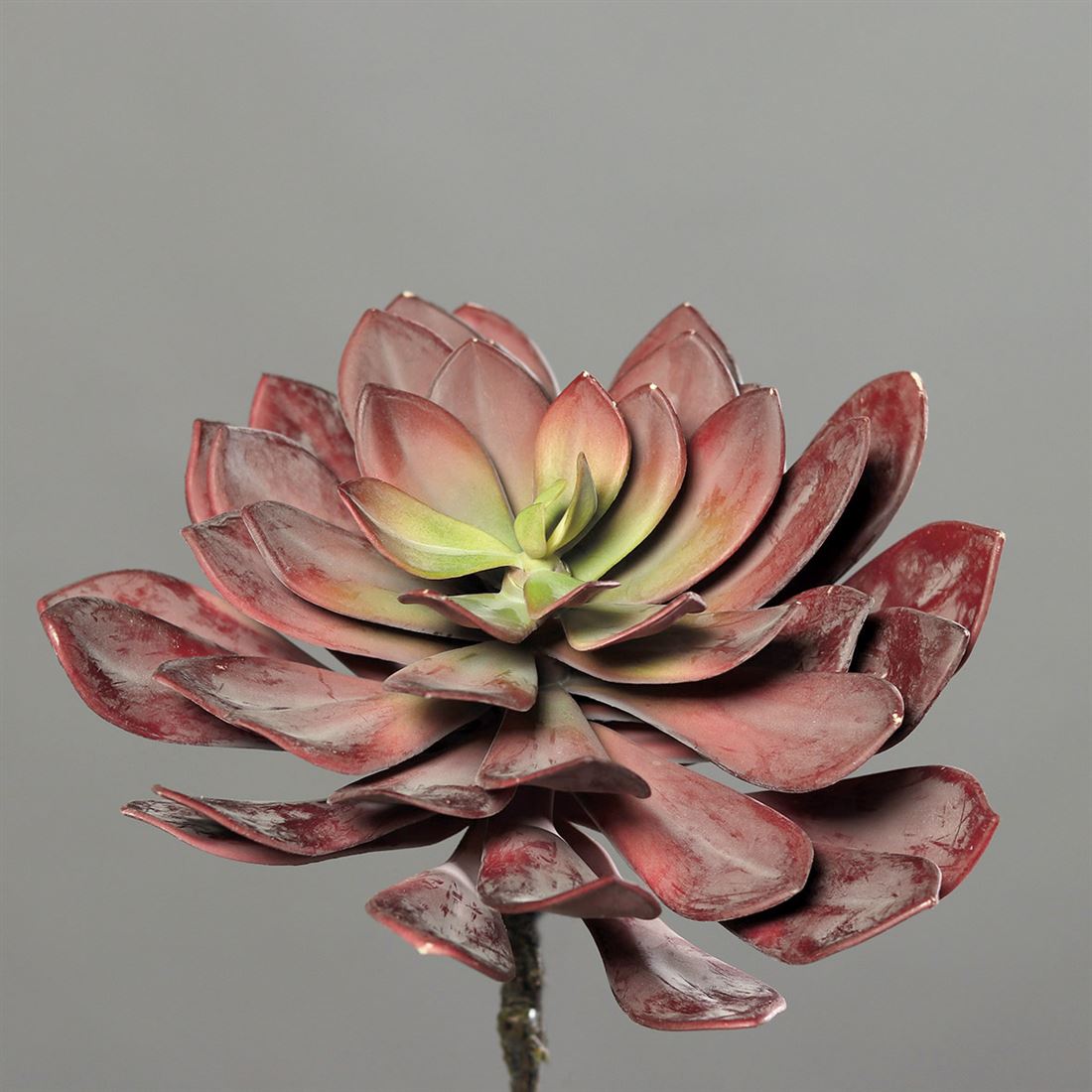 23542639502.jpg