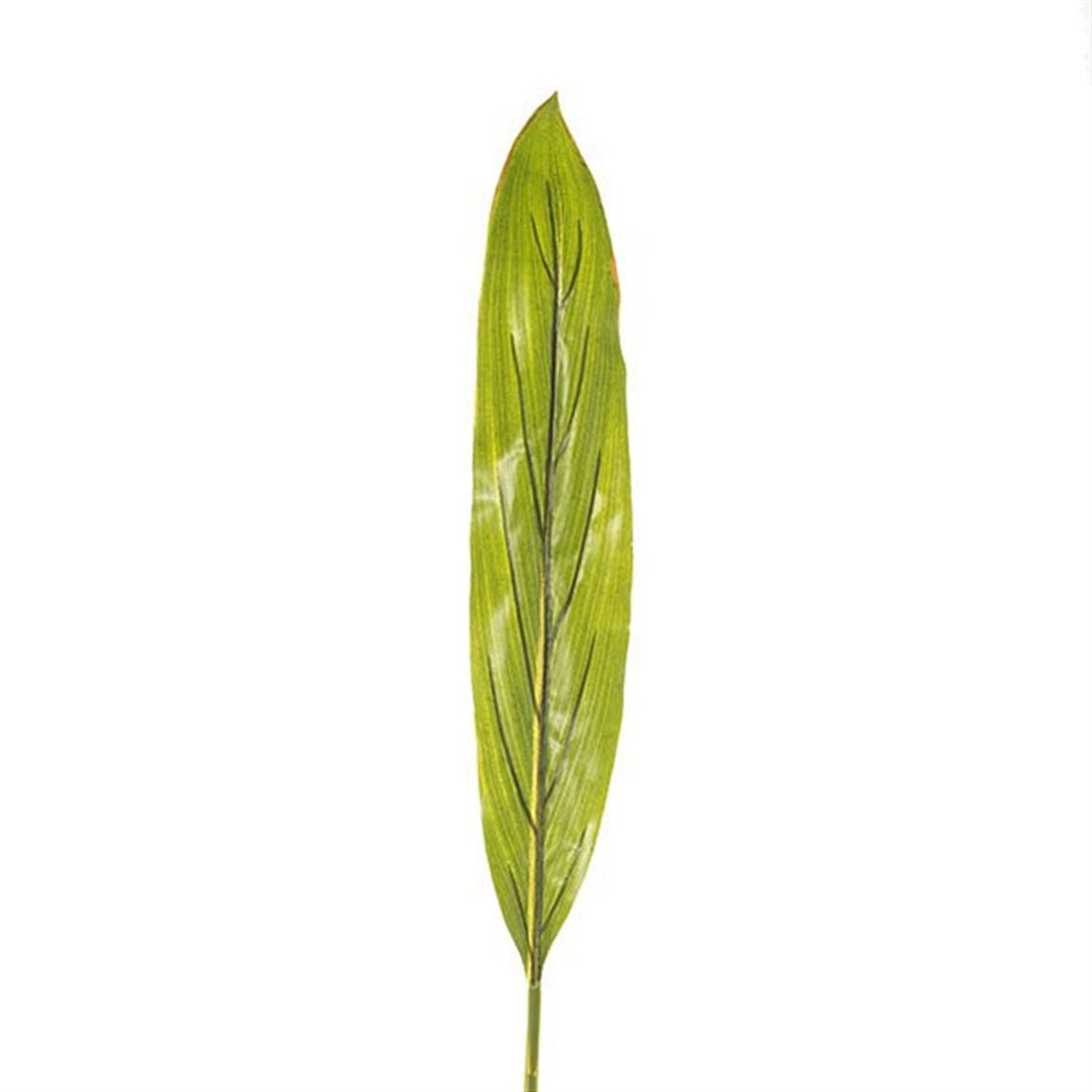 23555501120.jpg