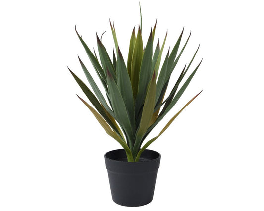 23607308462.jpg