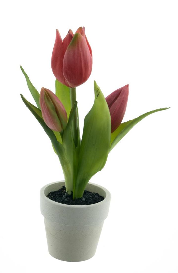 23614221086.jpg