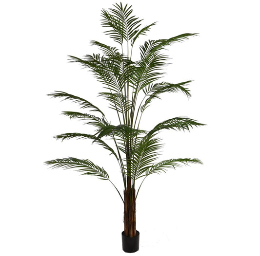 23633240015.JPG