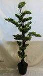23640240043.jpg