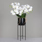 23642603752.jpg