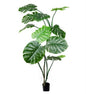 23647304958.jpg