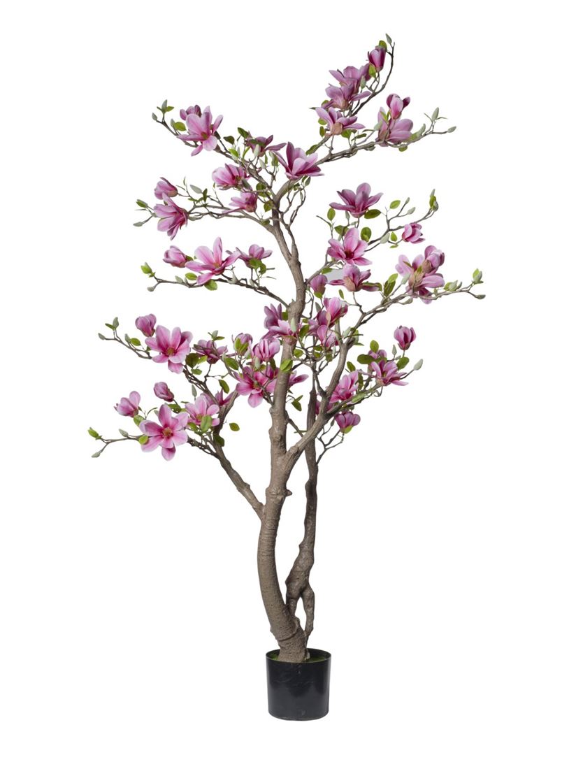 23655521230.jpg