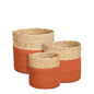 35307235001.jpg