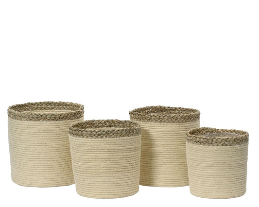 35307307863.jpg