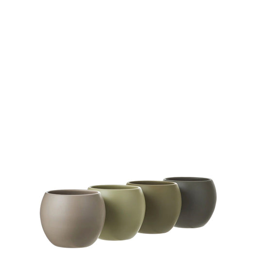 35407251616.jpg