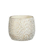 35407287877.jpg