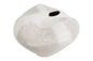 35447329713.jpg
