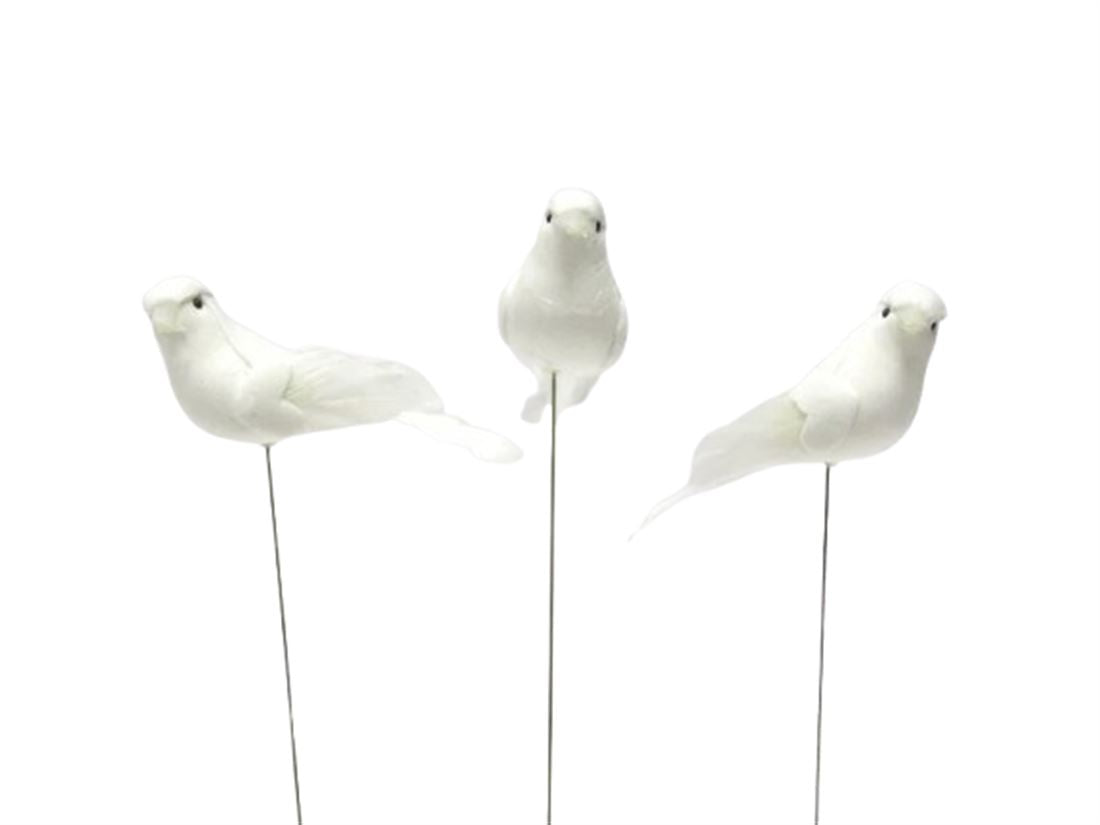 35612411351.png