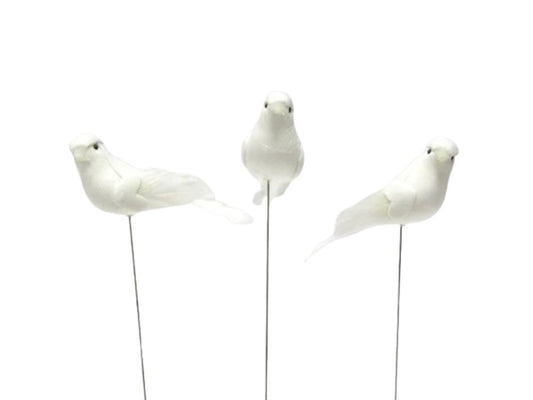 35612411351.png
