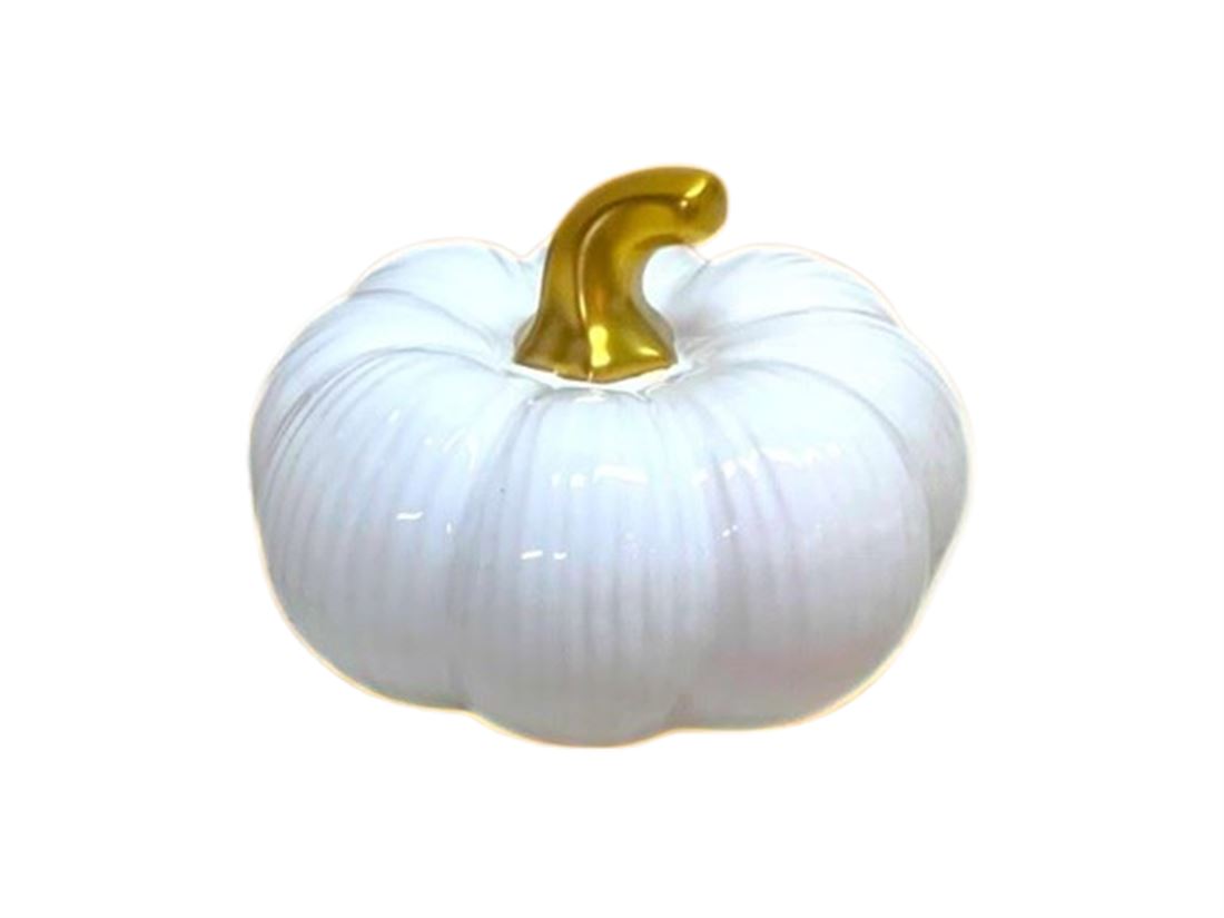 35801466340.jpg.png