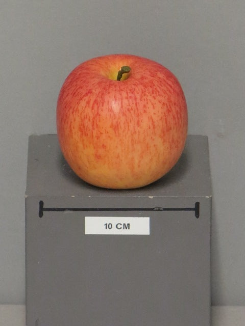 35814202893.JPG