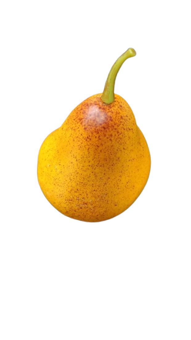 35830010047.jpg.png