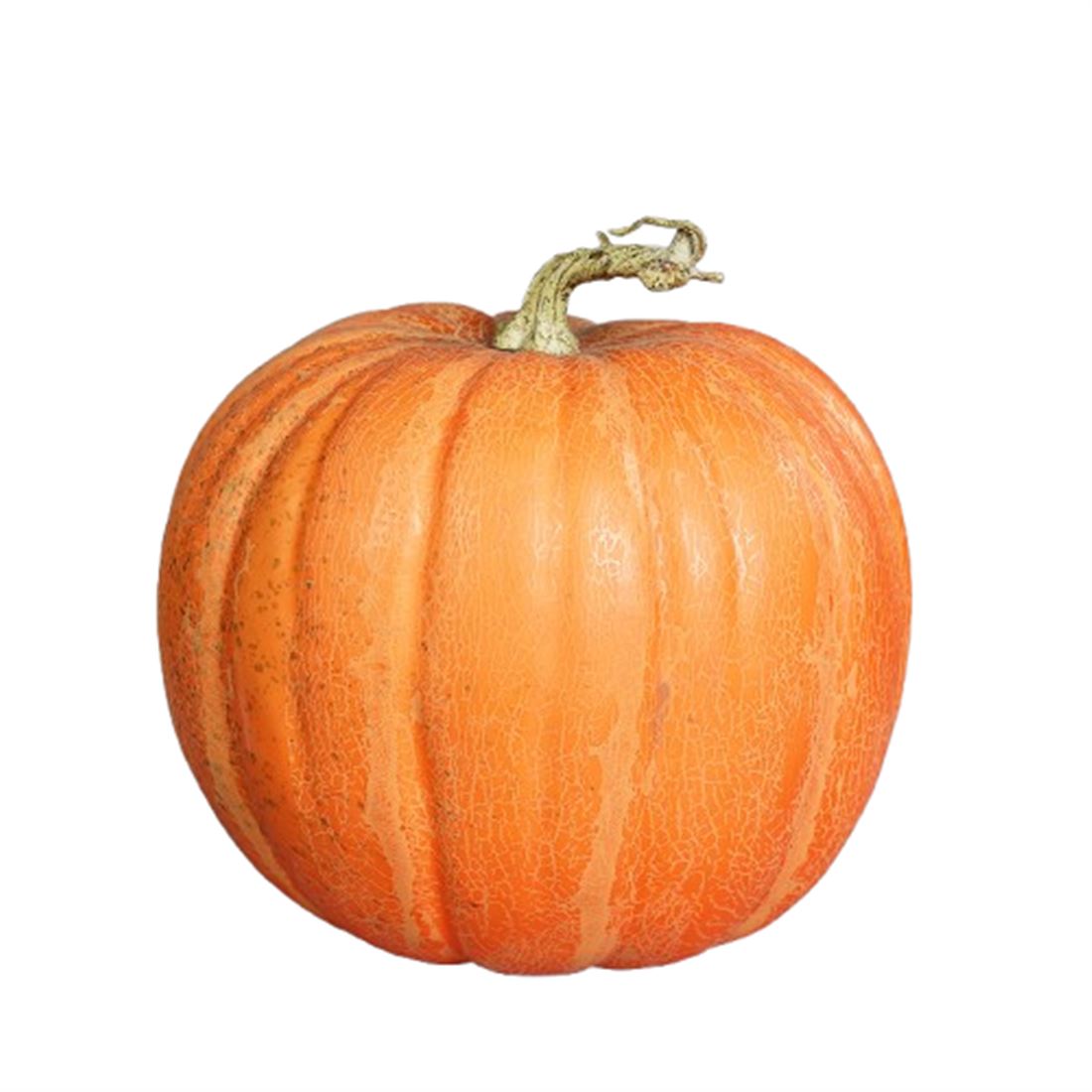 35842628355.jpg.png