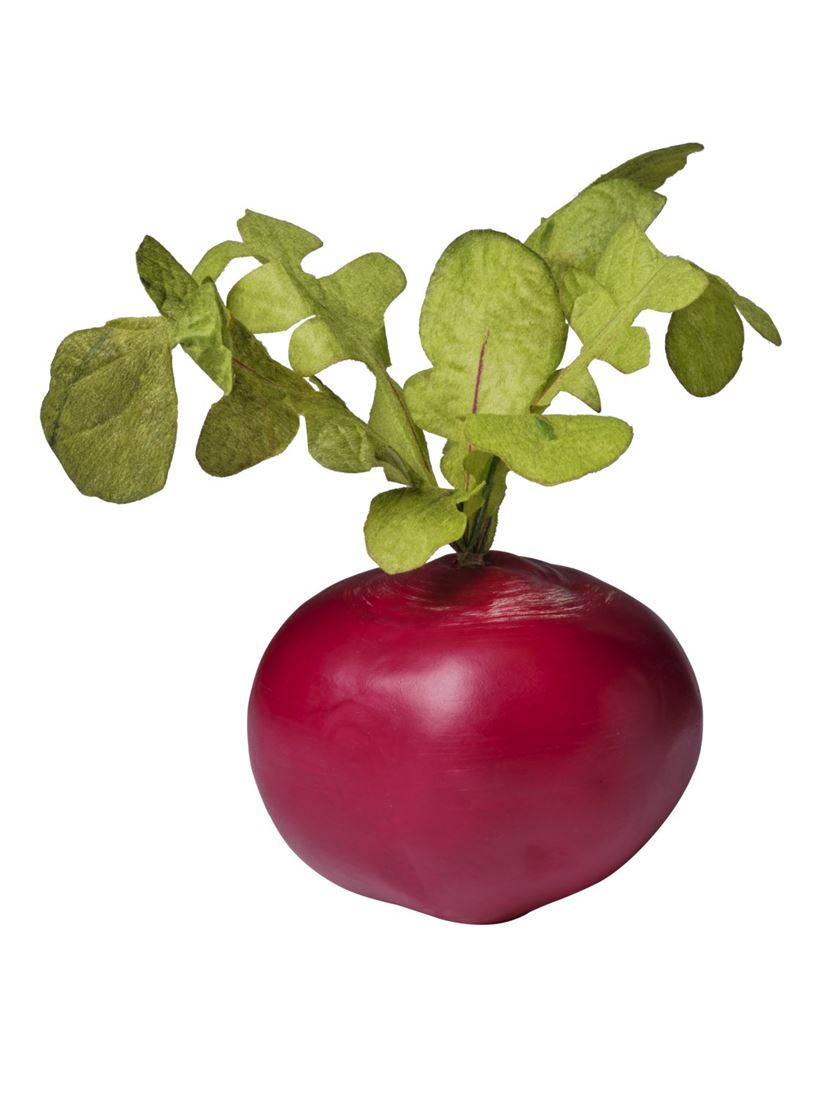 35855524041.jpg