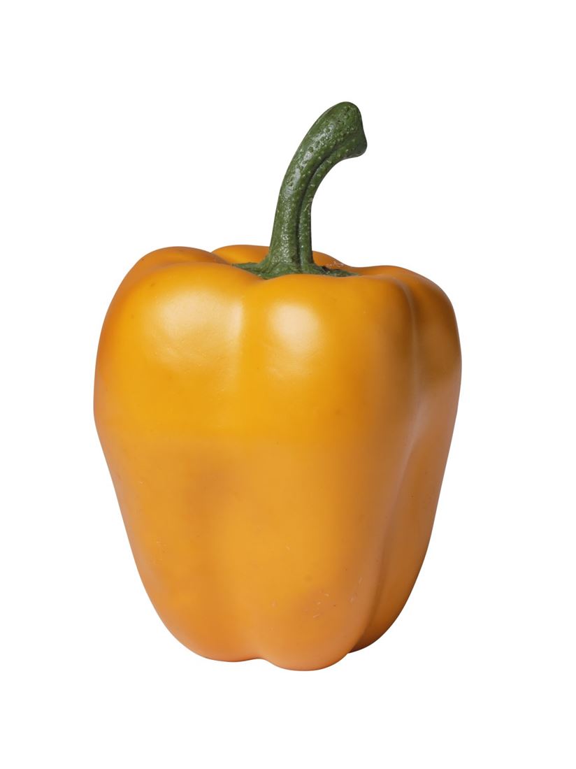 35855524101.jpg
