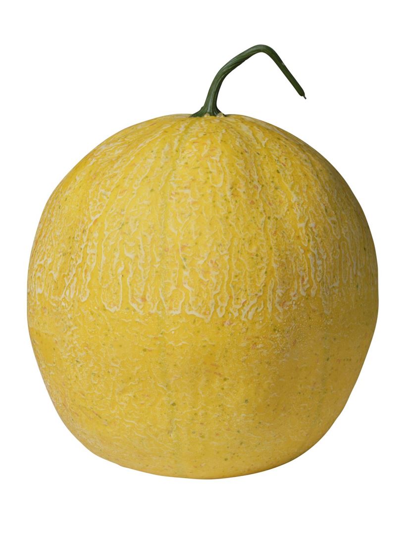 35855524131.jpg