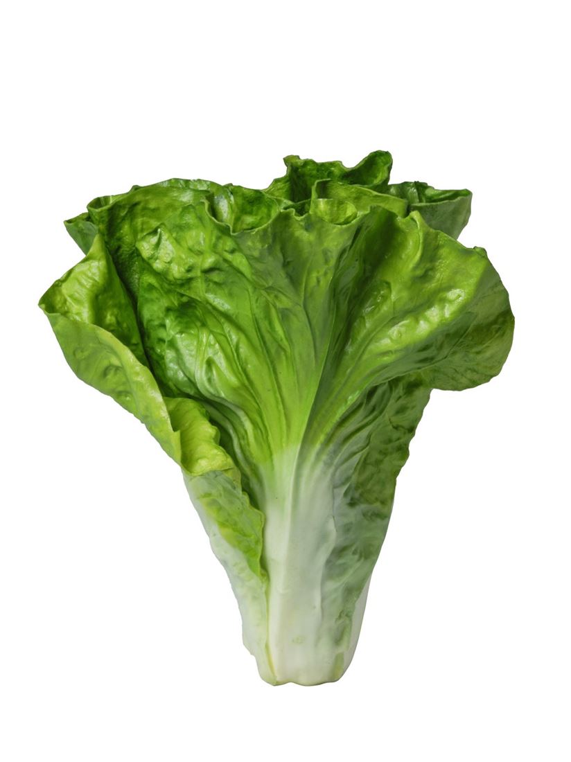 35855524606.jpg