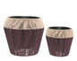 36907313781.jpg