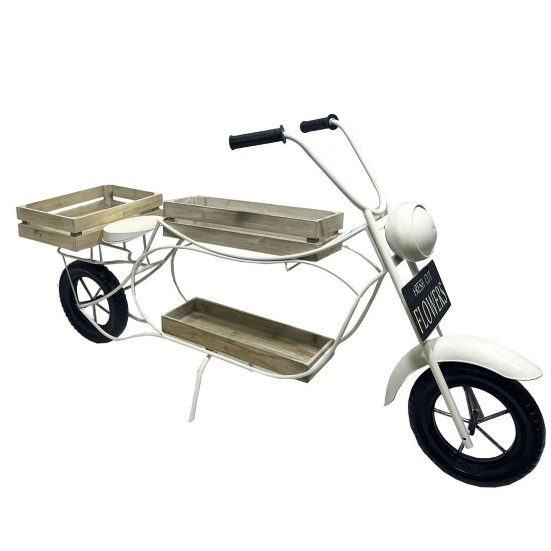 36915358245.jpg