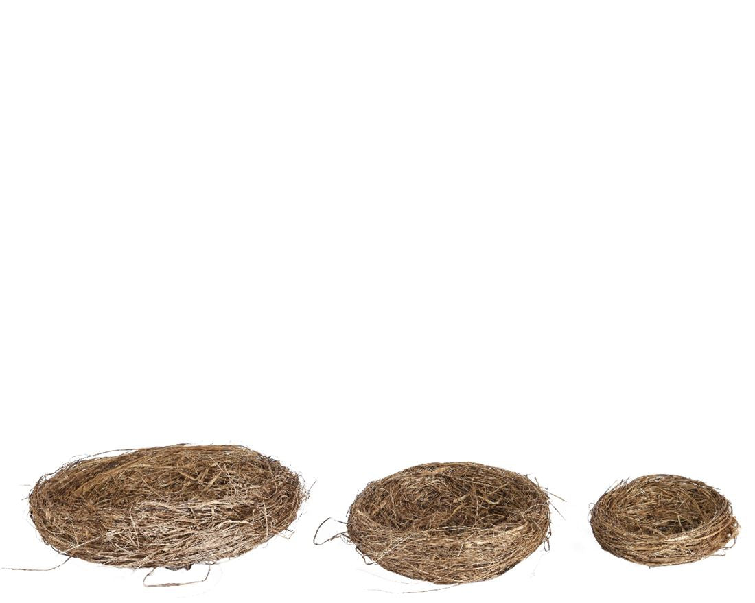 40007305542.jpg